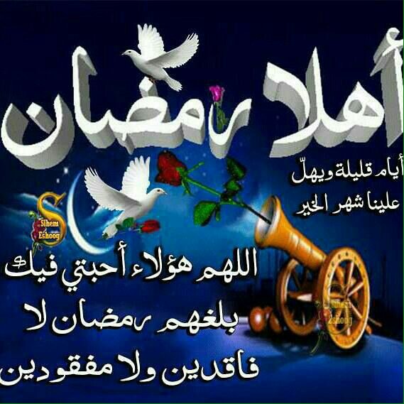 mostafa_rahaf's tweet photo. شهر الخير والبركه https://t.co/228S0Ufs3N