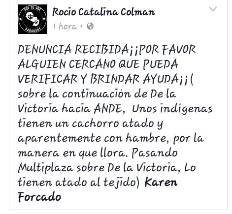 APOYO ESCOLAR INTEG. tweet media
