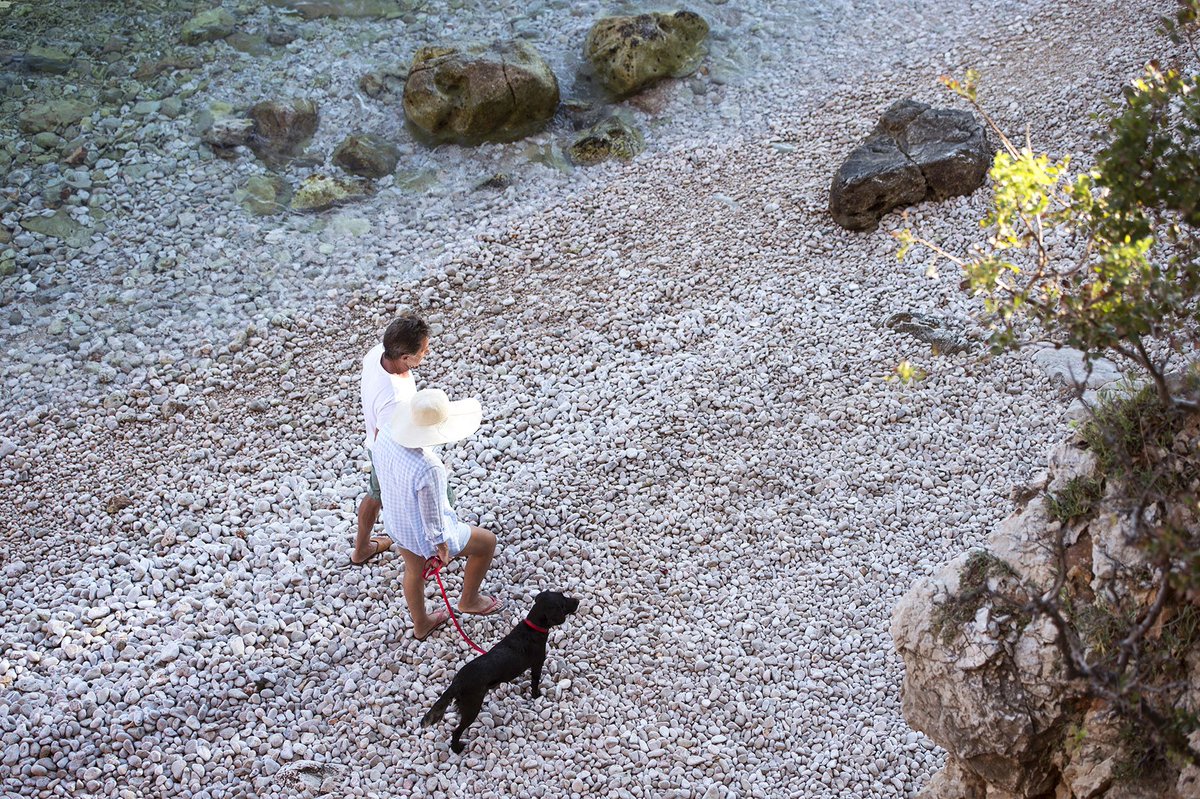 CNTravelerSpain's tweet photo. #Croacia #conperro: ¿estamos ante uno de los países más #dogfriendly? https://t.co/xkSvRwlmxO https://t.co/AcoRepWnGd