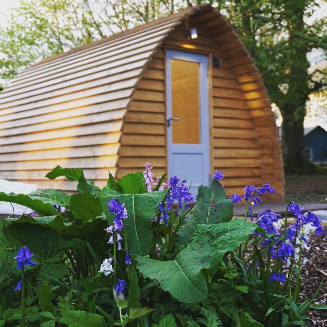#glamping in style.