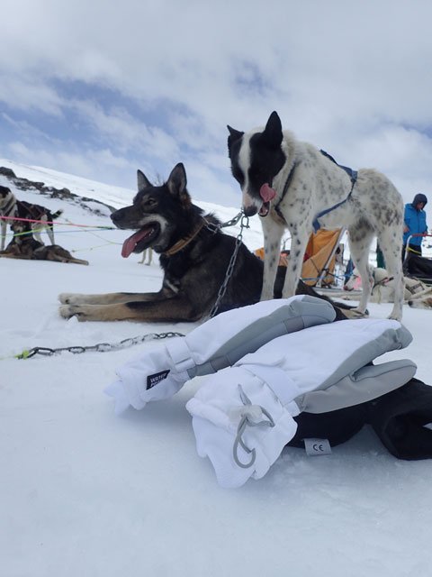 Flexitog's tweet photo. Review of #Flexitog Maxim, Stockholm and Ice Mitt winter gloves | https://t.co/eatpDknol3 #Thermal #outdoors #Fabrics #coldweather #leisure https://t.co/3kIIcJEw6O