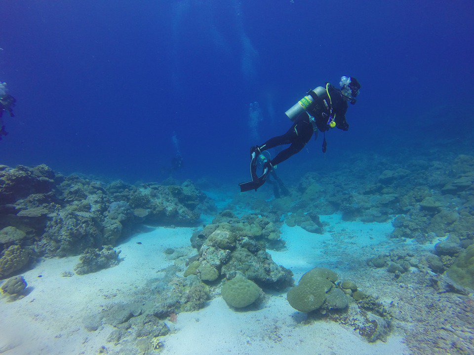 WyndhamPDC's tweet photo. El hotel #WyndhamGarden a solo unos pasos del ferry a #Cozumel para que no te pierdas los mejores eventos! Reserva para el #CozumelScubaFest https://t.co/Tfby0I1mzd