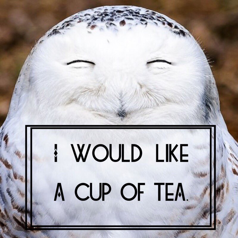 SavTeaRoom's tweet photo. When someone offers you a cup of tea.#tea #rainday #savannah #tealover #teajunkie #makemetea https://t.co/PTkV4COzSC