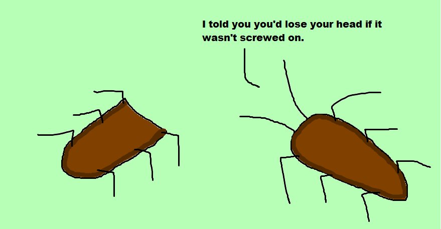 Zero_bugs's tweet image. FACT: Cockroaches can live for up to a week without a head.