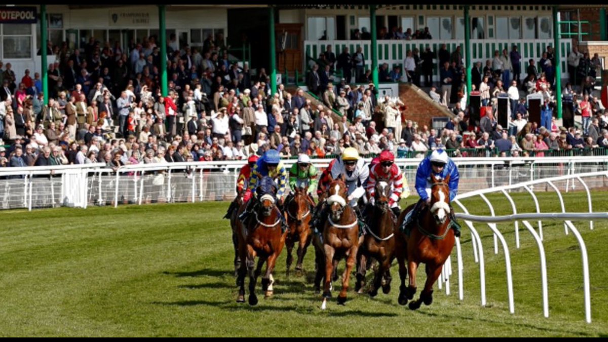 pigeon_island's tweet image. Please RT

Do we fancy a Thursday PRIZE SWOOP @CatterickRaces ?

20 RTs will convince me you want to play ... Gorgeous weather forecast ☀️