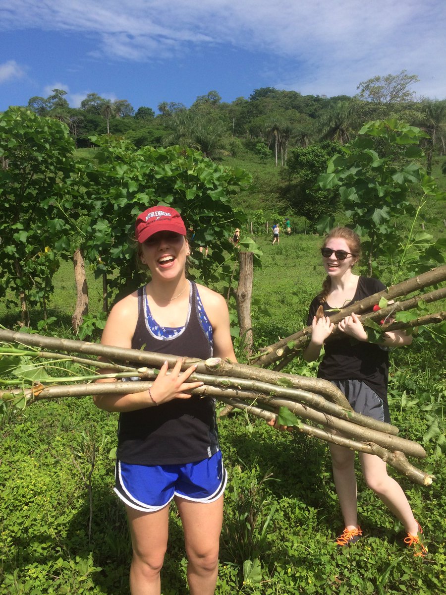 SusSolutions's tweet photo. Planting trees for carbon sequestration project in Costa Rica #plant #trees #carbonneutral #livefence #bergCostaRica #CostaRica https://t.co/KPSvJsxBPd
