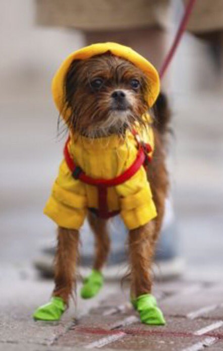 LinkedSouls's tweet image. Bring it on... Florida rainy day. ☔️