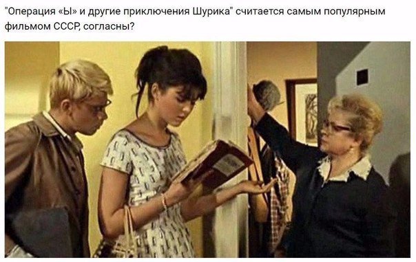 Евгения Гаевская tweet media