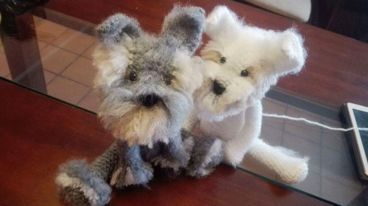 Lizkutito's tweet photo. Soliciado por cliente,consulta por el tuyo #Amigurumis #Stgo #Quilicura #Chile #HechoAmano #TejerConAmor https://t.co/wS81Ea0HLZ