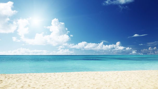 enterate de todas las posibilidades que te ofrece este verano.