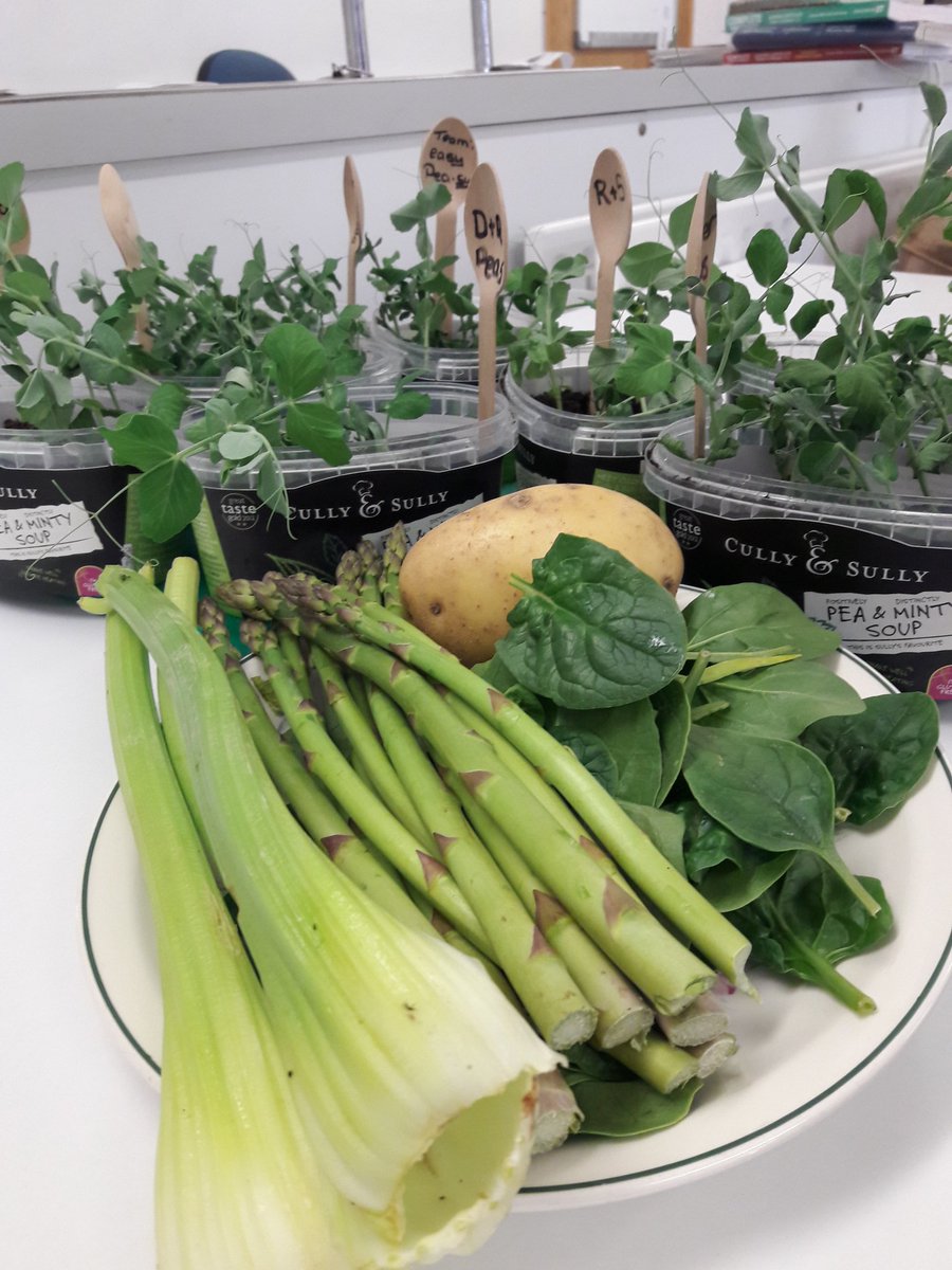 jtbcshomeec's tweet photo. #ReciPEAForSuccess #Pea287 @cullyandsully @giyireland finally harvested our pea shoots today & made delicious Creamy Pea & Asparagus soup 😍🍲 https://t.co/CXOcefnwaV