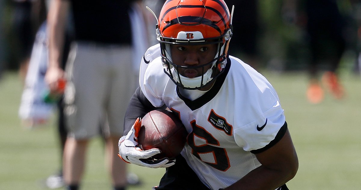 WR Cody Core is looking to make a splash in his second season.  📰: go.bengals.com/2qkMt7i https://t.co/zjX9mJEdpl