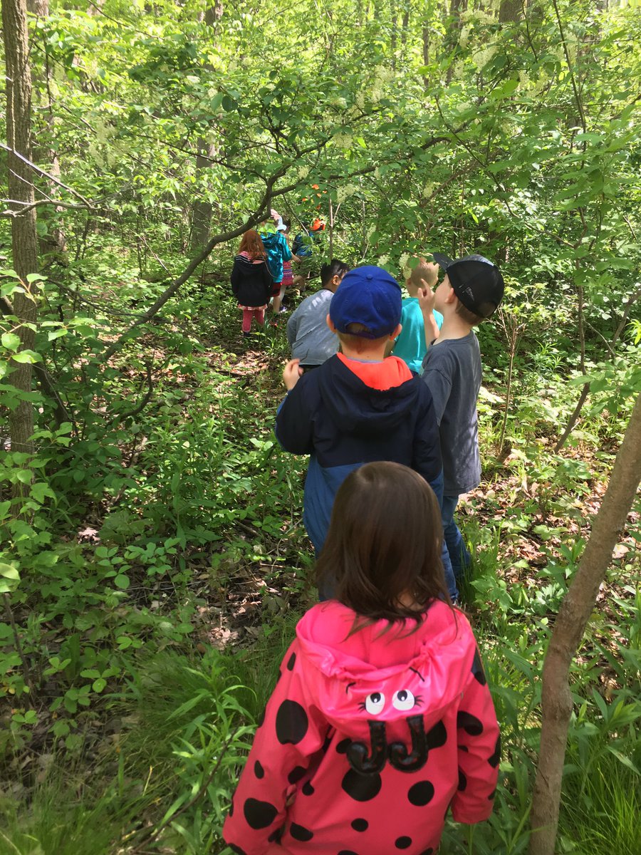 ForestGlenGr1's tweet photo. Look at this picture taken today compared to our first Walk in the Woods back in March! 3months brings a lot of change 🌿#learningbyseeing https://t.co/PLK4qtrb2k