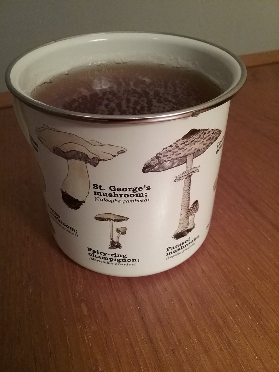 StefShepard's tweet photo. @drmikeographer My #SciMug is a fungi field guide. https://t.co/GkMmI6UU4p