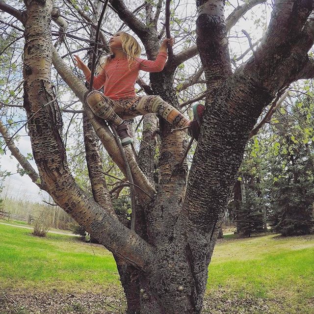 KEENCANADA's tweet photo. One of the best parts of being a kid = climbing trees!
Photo by @ellinds
#keenkids #boundlesswonder https://t.co/xVfRRgL3b1