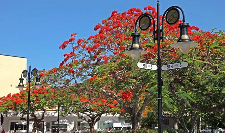 The Inn on Fifth tweet media