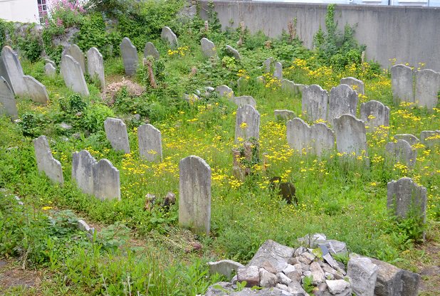 __Interfaith__'s tweet photo. Plymouth's hidden #Jewish cemetery https://t.co/kz2CHN0yIk @plymhistoryfest @BBCDonnaB @CornwallRE https://t.co/4Okh0q1Sa1