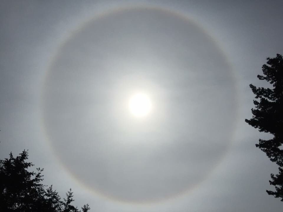Sunday News：Sunbow appeared in the sky as we laid out the the lines for the soon to be “Heart of Newton Labyrinth”.