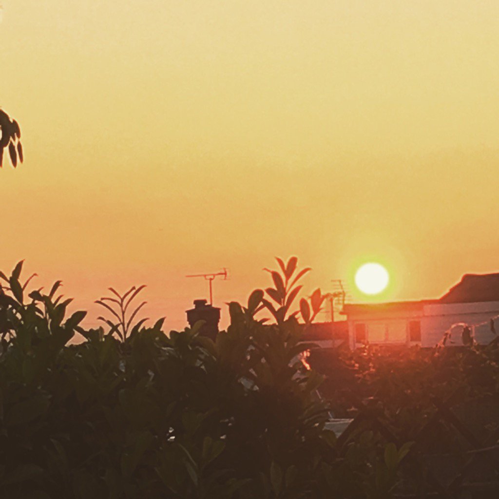 lisa kennelly tweet media