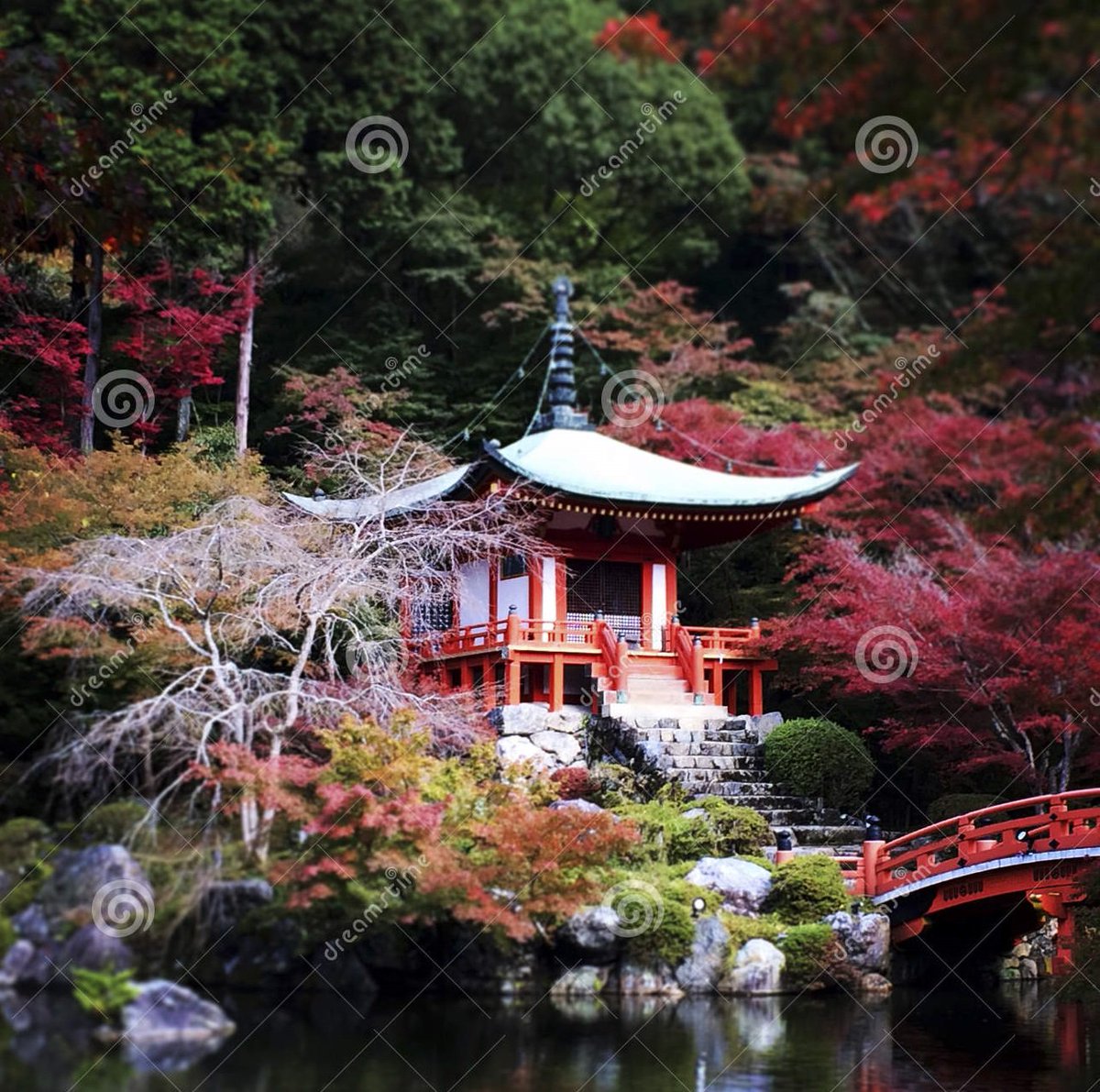 fusionslights's tweet image. This is the Vibe that i tried to got in my head, it's difficult but i can do it ❤️