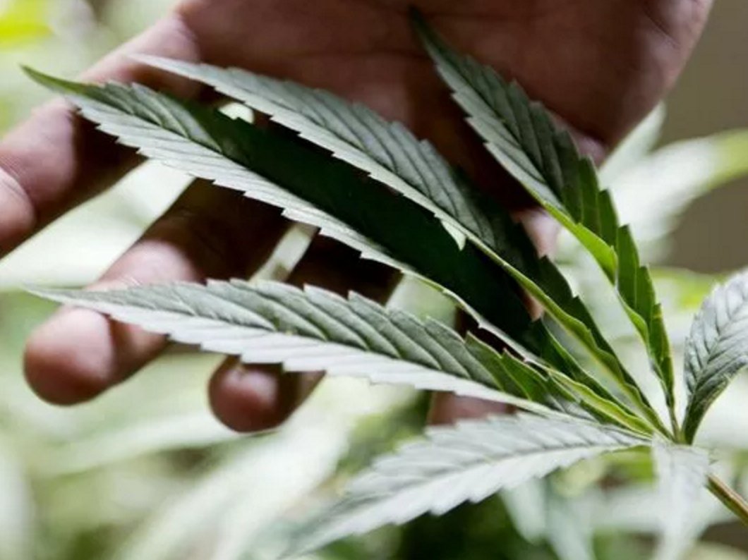 vcstar's tweet photo. Port Hueneme one step closer to permitting medical marijuana industry https://t.co/4YHHnBQWiG https://t.co/BJy2qdVTU2