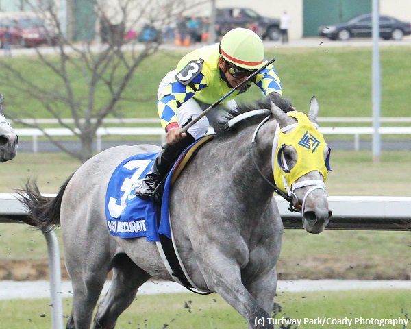 TwinSpires's tweet image. Spiral (G3) winner #FastAndAccurate faces nine in #ArlingtonClassic (G3) @Arlington_Park on Saturday off 17th-place run in @KentuckyDerby