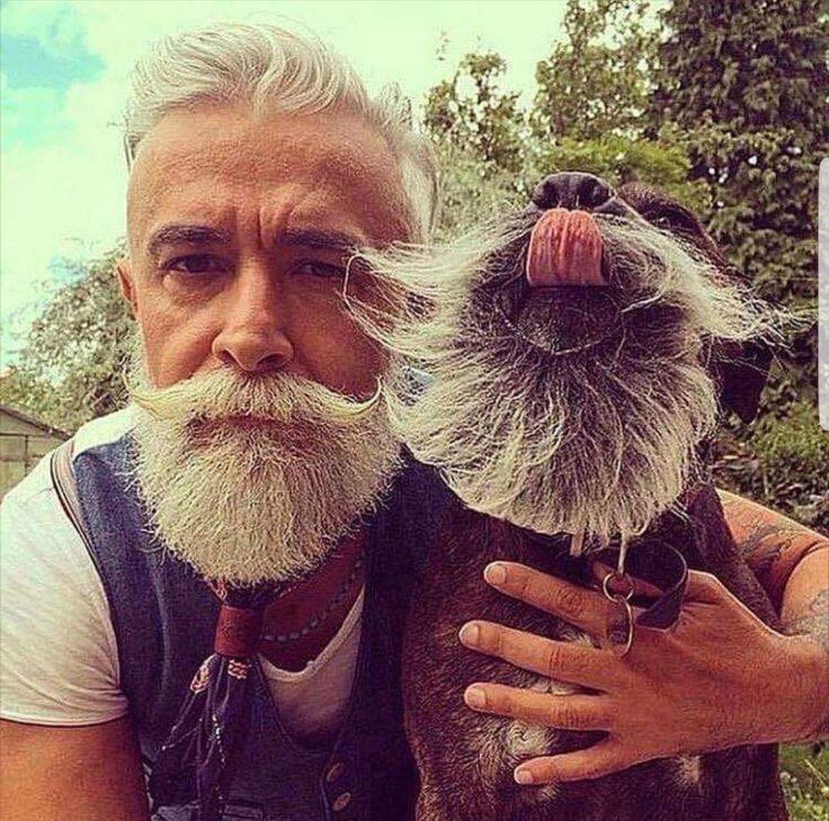 look4jsmartinez's tweet photo. Can u put a caption on this?
#AnimalsAreFamily
#animalfaceoff
#beardedtheory
#beard https://t.co/La4azlNG56