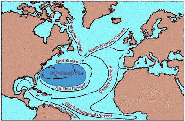 Biofaculte's tweet image. L’hypothèse de panmixie exercices : série 3