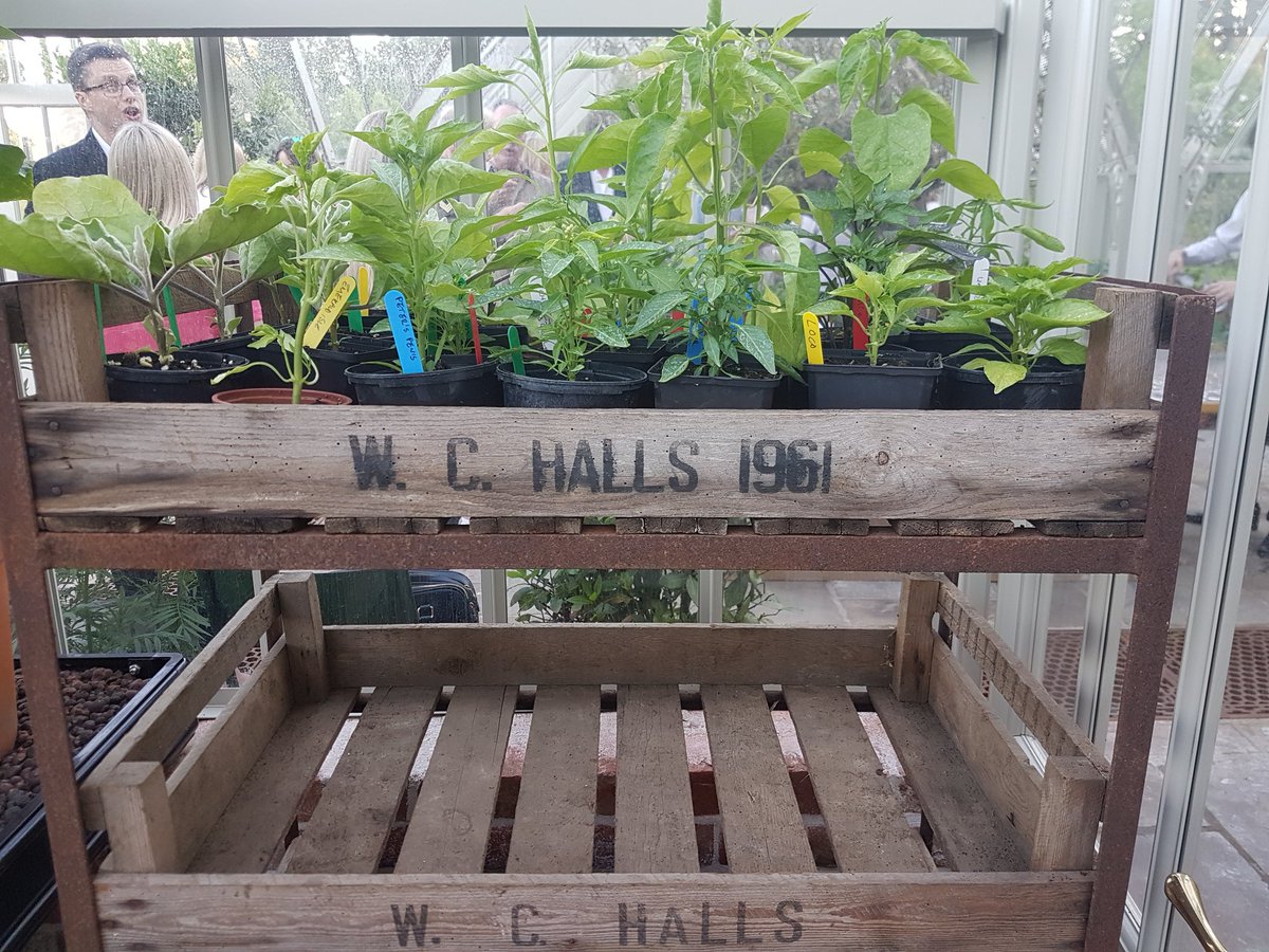 Bubbles, #BritCharcuterie &amp; a 💕 New Forest 🌅A happy pm at <a href="/limewoodhotel/">Lime Wood & Herb House</a> 's new #ModernVictorian greenhouse for  <a href="/hhandco/">Hartnett Holder & Co</a> &amp; #Raw&amp;Cured