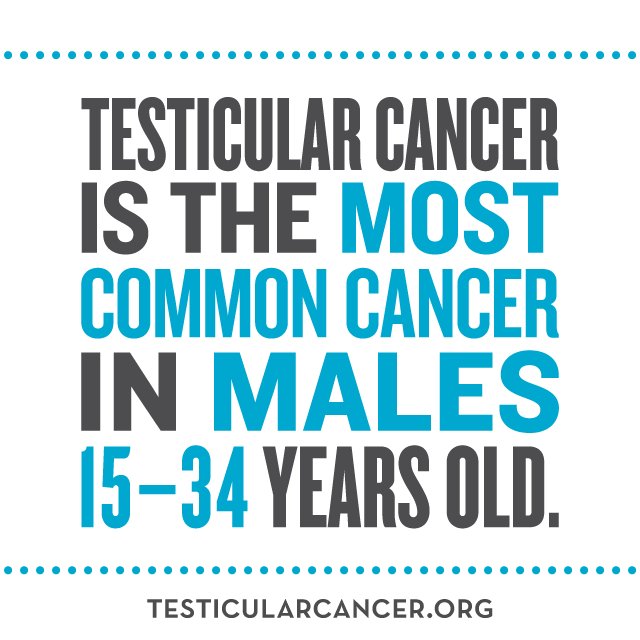If your brother is between 15-34 yrs old, let him know he is at risk of #TesticularCancer this #NationalBrothersDay.
testicularcancer.org/testicular-sel…