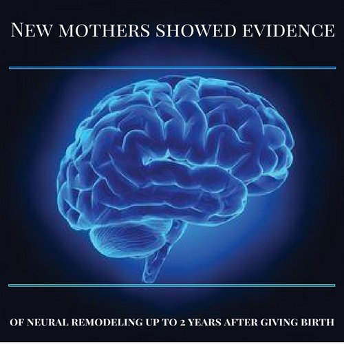 pregmate's tweet photo. This brain remodeling may play a role in helping women transition into motherhood.
#pregmate #motherhood #brain #womenhealth https://t.co/pPkgRn91h0