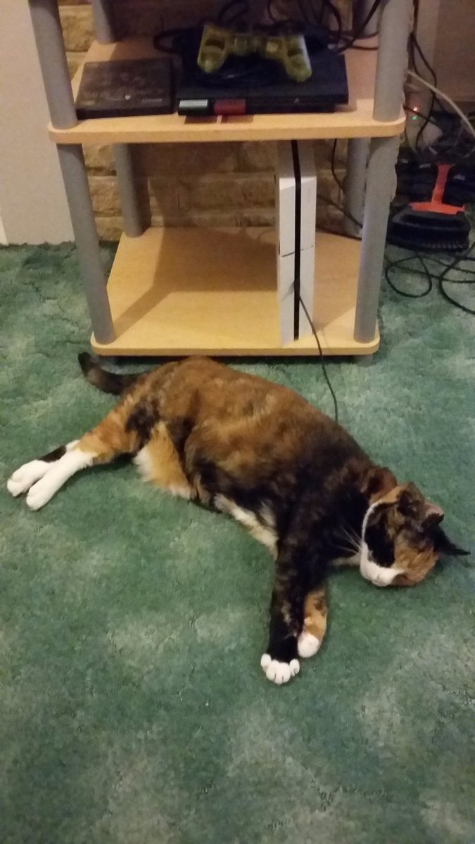 RevanRek's tweet photo. @SNUKgaming @FazFhunder @gamesyouloved Just like a tamagotchi, all this thing does is eat, sleep and poop... https://t.co/Deli69BUu0