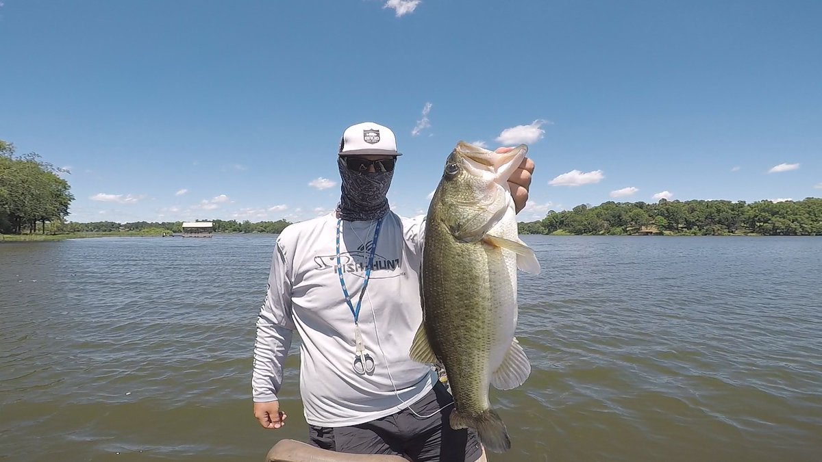 #catchfishnotfeelings