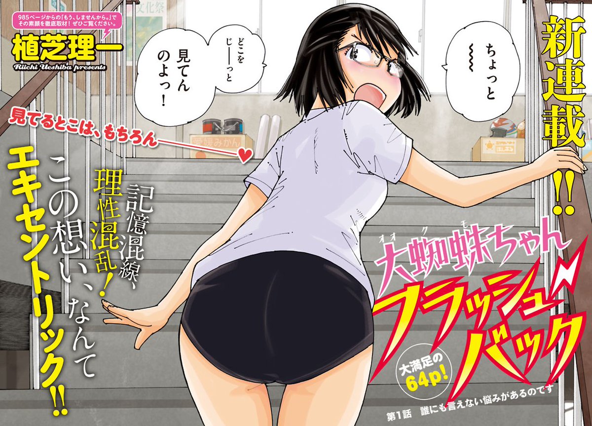 大蜘蛛ちゃんフラッシュ バック