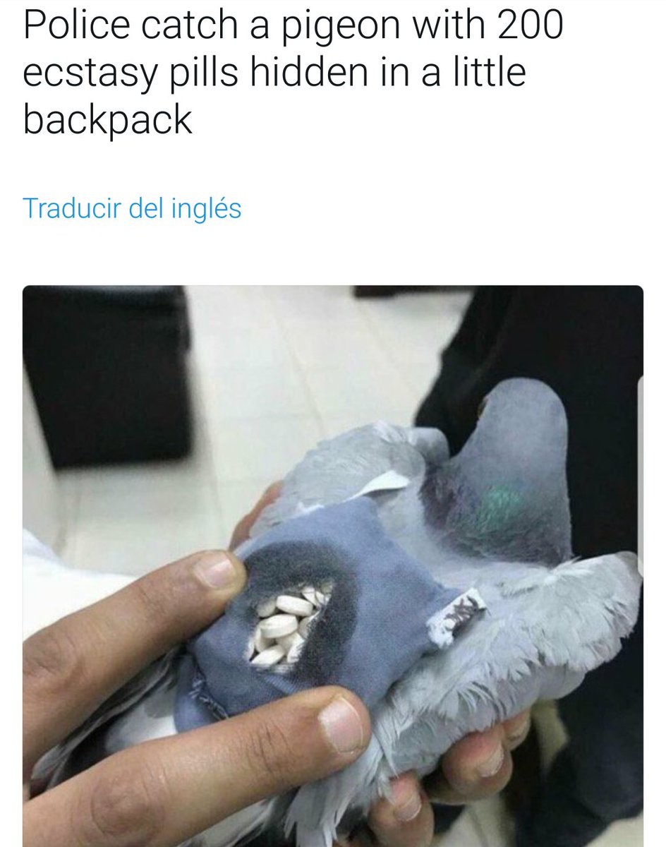 backd00rman's tweet photo. https://t.co/ILH2kxuPnp