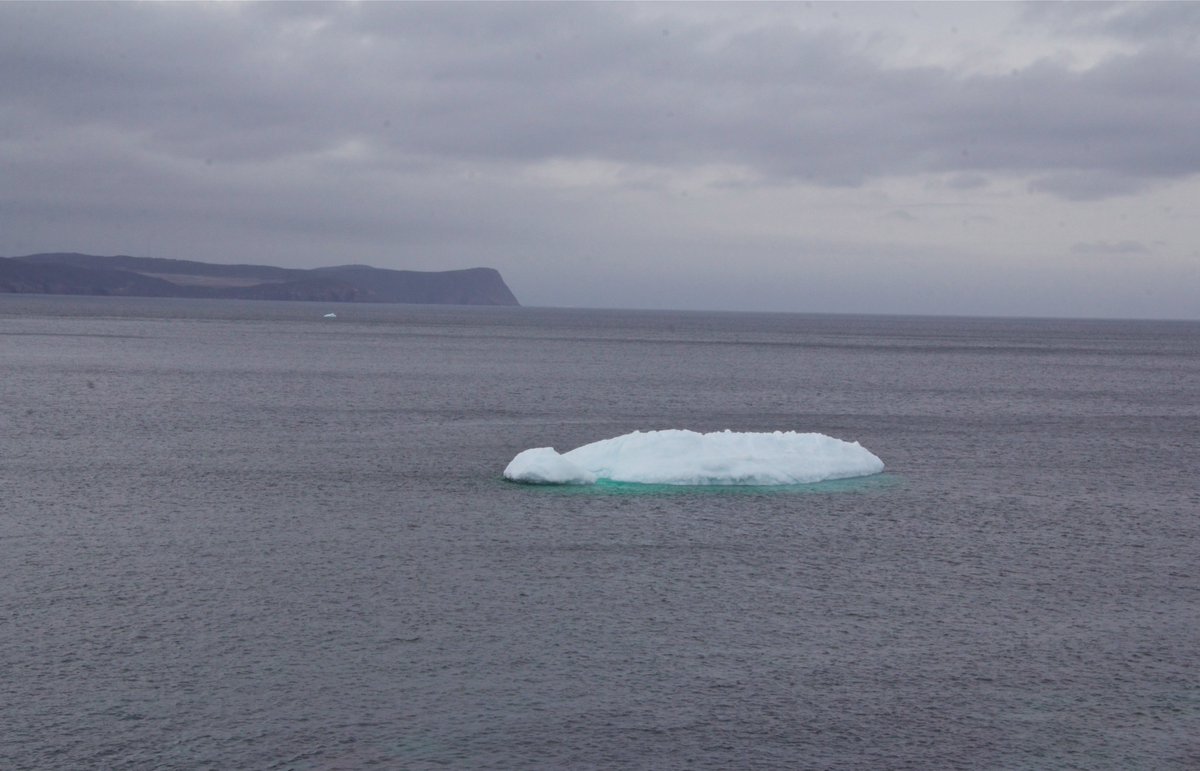 Baby Berg ..  St Johns Newfoundland