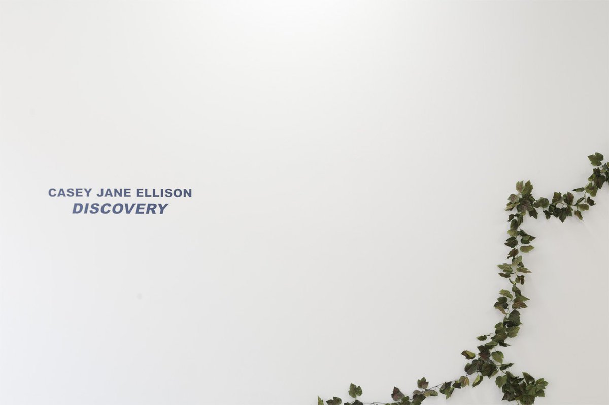 coolhuntermx's tweet photo. Conoce la primera exposición de #AnonymousGallery "Discovery" de la artista Casey Jane Ellison https://t.co/hGv1ErbWwy https://t.co/OKpFNyUtjX