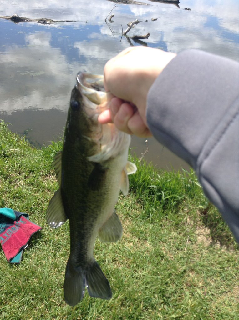 TravisMillikan's tweet photo. Not a bad day 🎣 https://t.co/QZY4OrpNDF