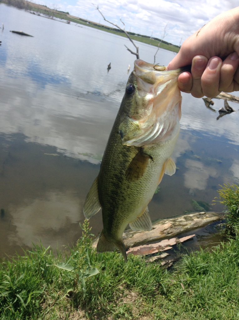 TravisMillikan's tweet photo. Not a bad day 🎣 https://t.co/QZY4OrpNDF