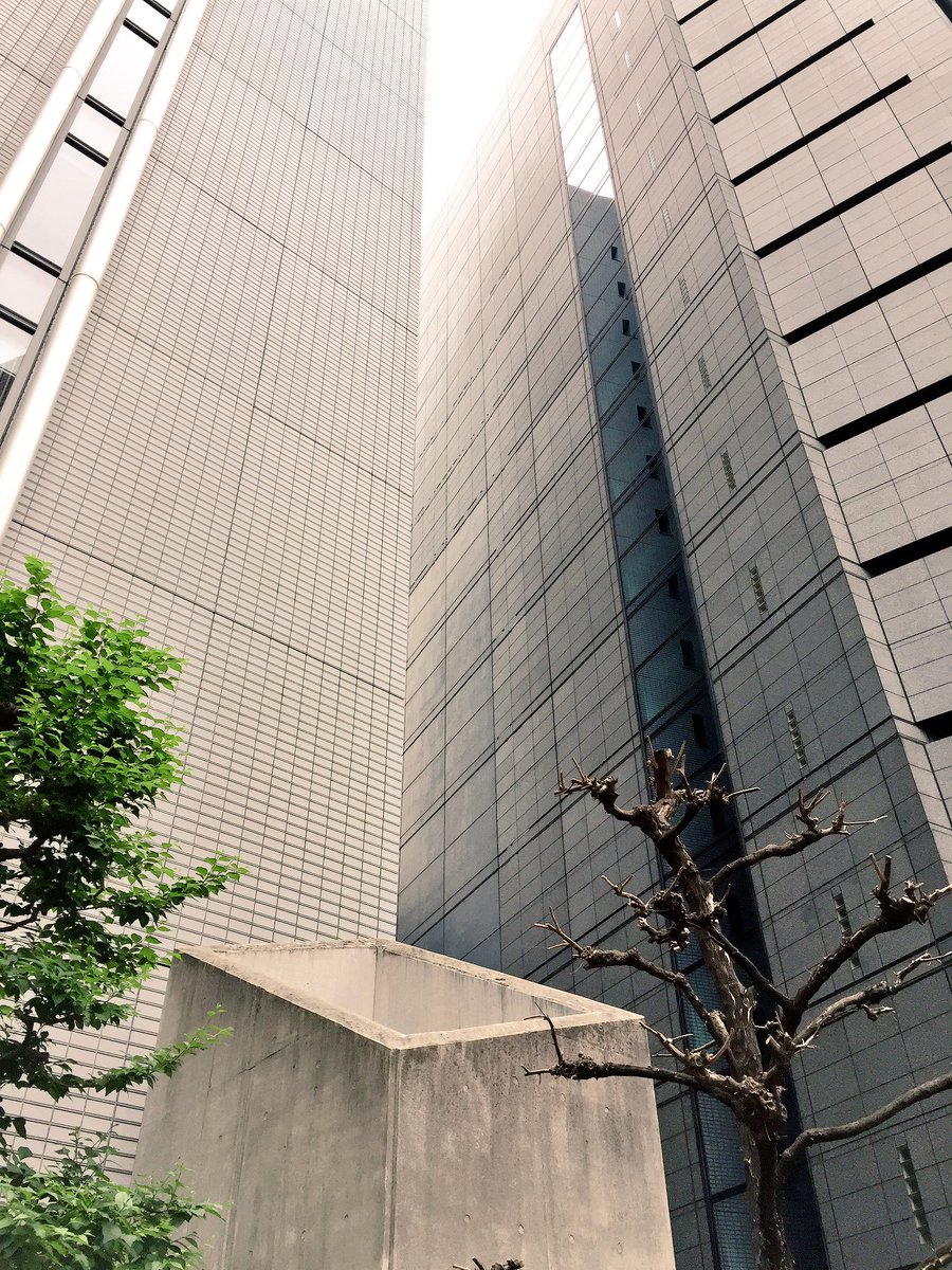 nicolas75flyert's tweet photo. { #Osaka } #photography #travelpics https://t.co/gphGupCD7R