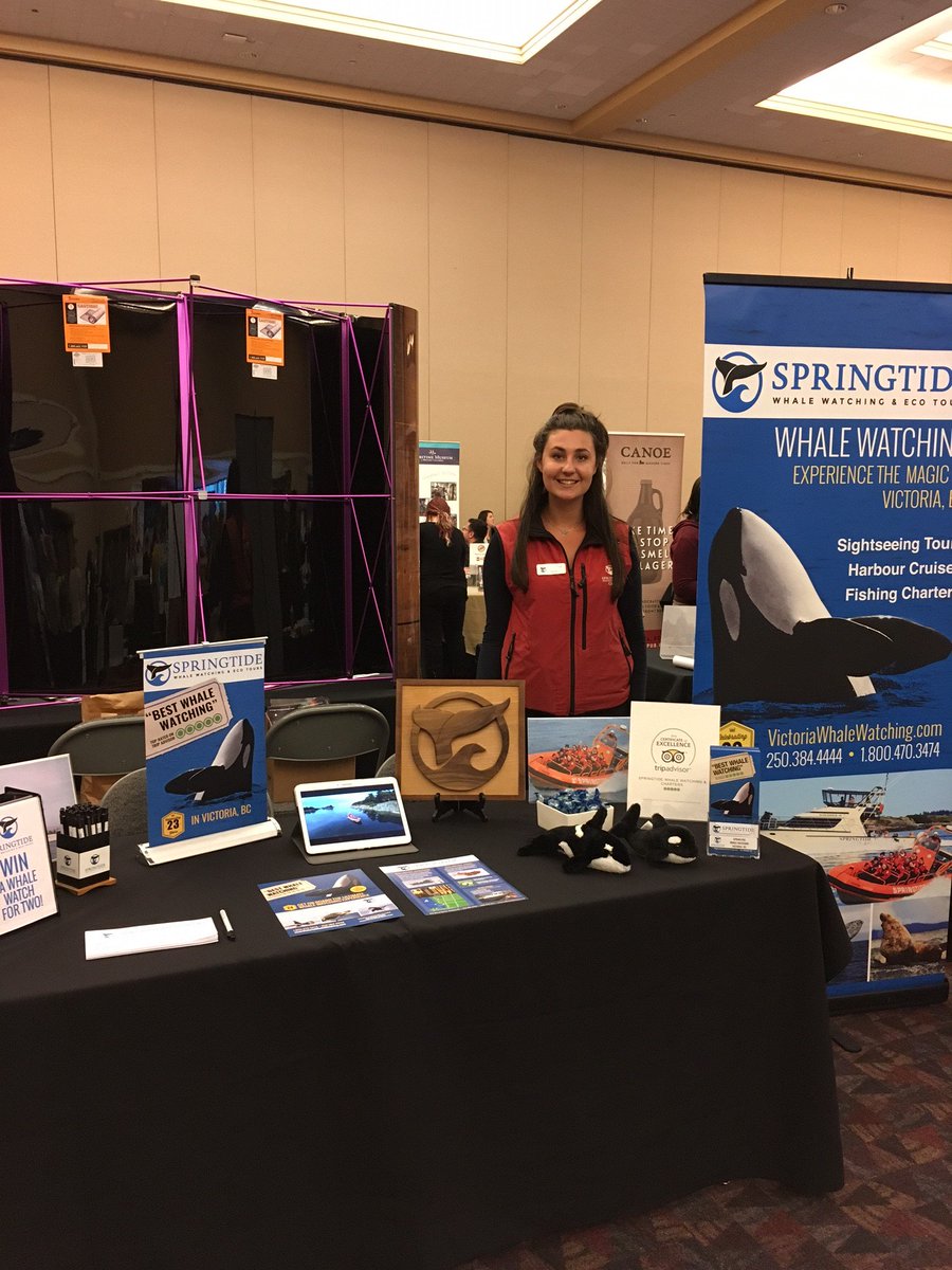 SpringTide Tours tweet media