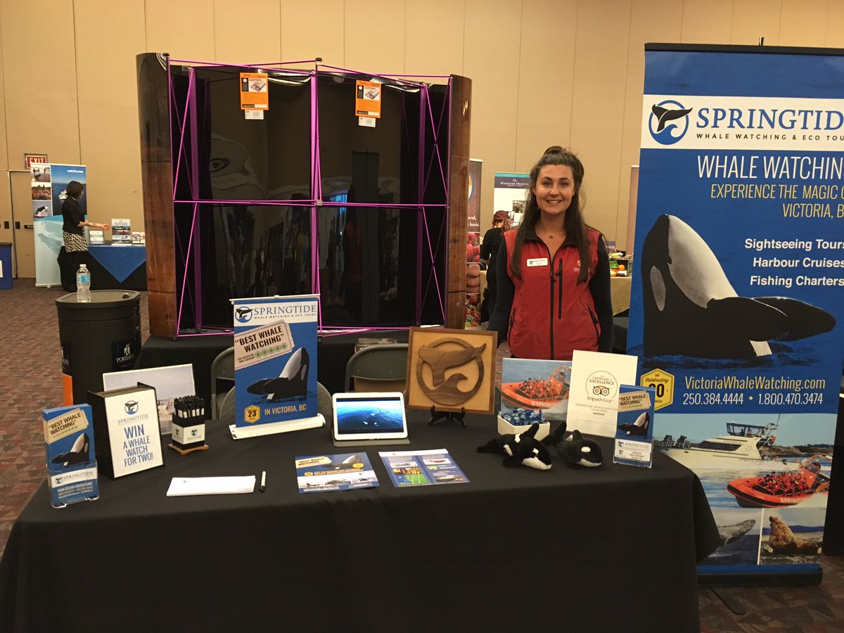 SpringTide Tours tweet media