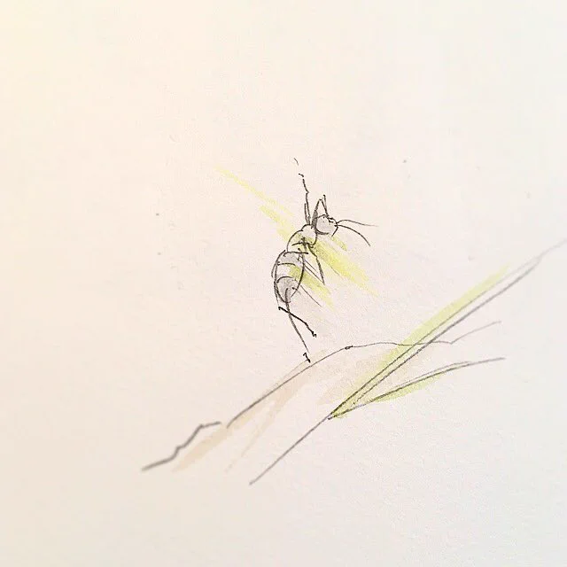 あるあるｗ金曜日だと思ってたのにまだ木曜日だった時の絶望感ｗｗｗ