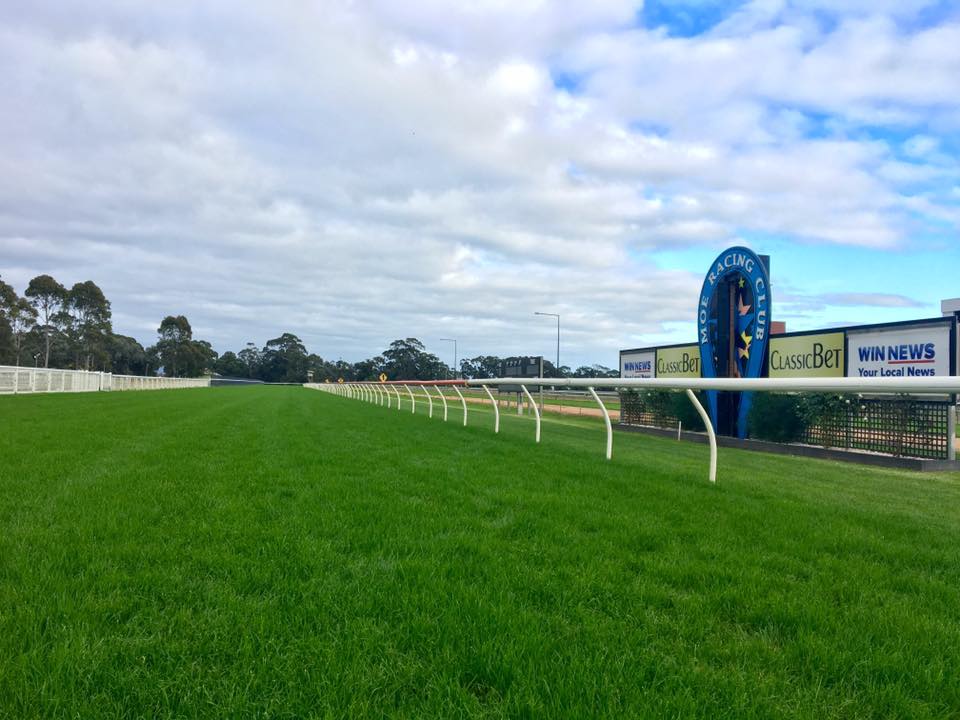 RACES TODAY // 10 Race Program
Free Entry all day || Race 1 jumps at 11:55am 🏇

#Moe #CountryRacing #FreeEntry #GetDownToTheTrack