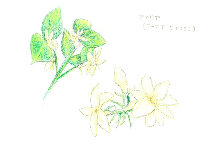 脂肪吸収のtwitterイラスト検索結果 古い順