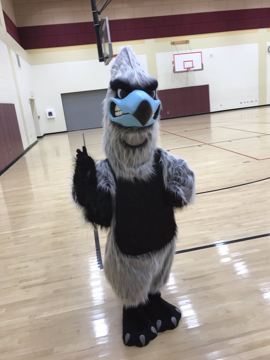 HarlanCheer's tweet photo. Hey Harlan!!! Meet our mascot Holly Hawk! #TalonsUp https://t.co/pdXQC14LPN