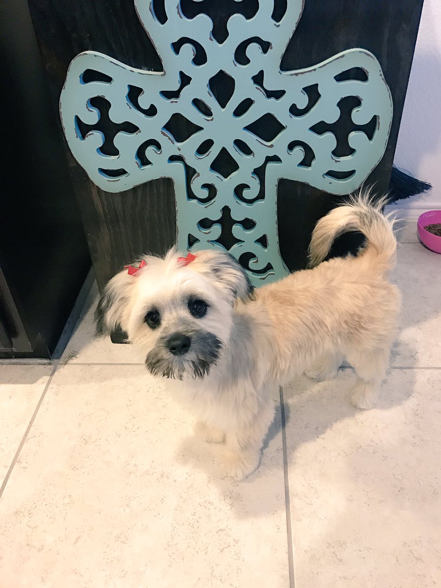 Got my groom on today. What do y'all think about my new look? #sofreshandclean