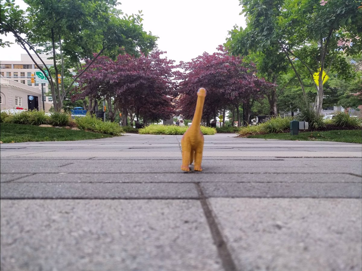 DinosaurStompy's tweet photo. Just Stomping around the Clarendon area before the rain comes in. #RAWR #Dinosaurs #DMV #NorthenVirginia https://t.co/hczezREH56