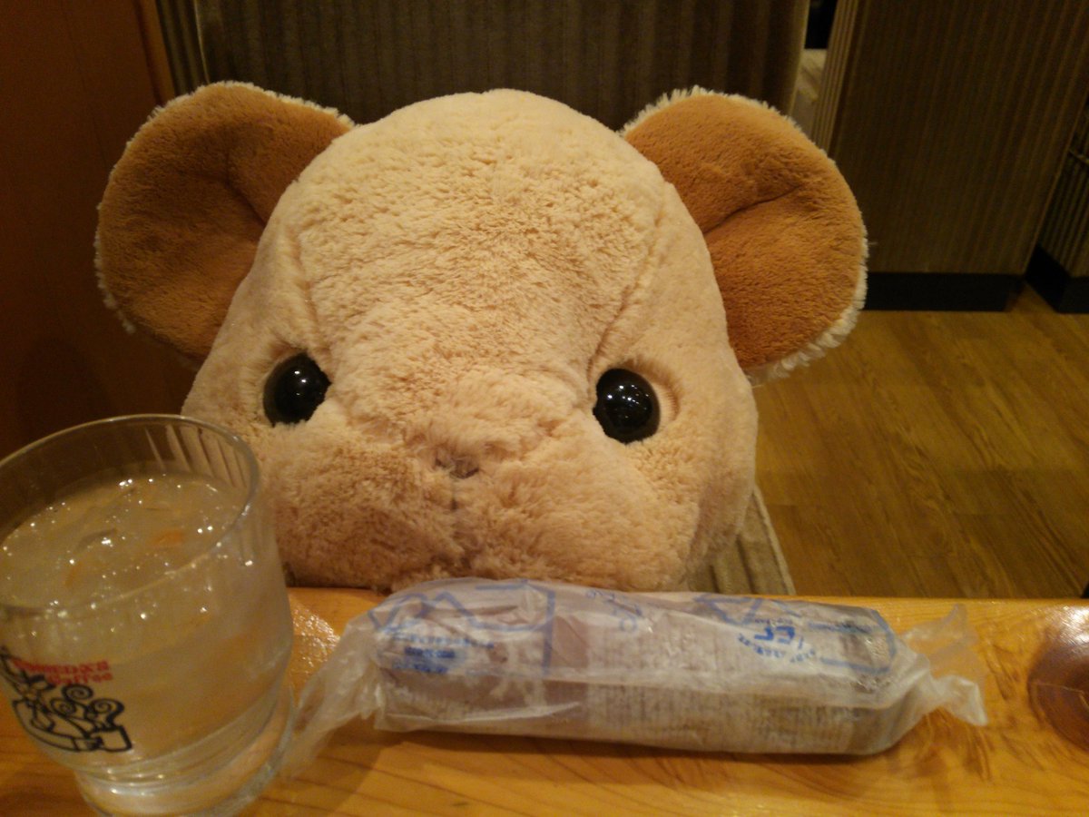 キュンとなきうさぎ