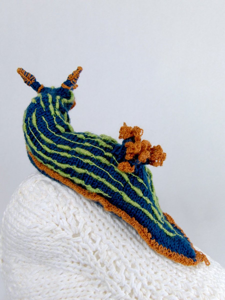 Nudibranch on a knit coral rock